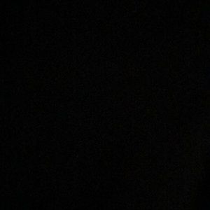 Meet your Posher, Evelyn